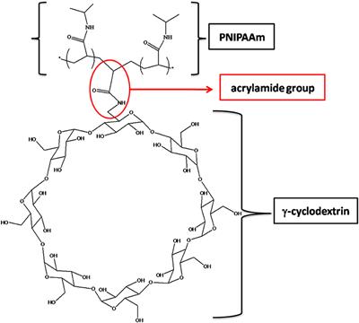 Sliding Crosslinked Thermoresponsive Materials: Polypseudorotaxanes Made of Poly(N-Isopropylacrylamide) and Acrylamide-γ-Cyclodextrin
